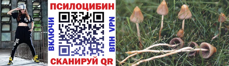 Галлюциногенные грибы ЛСД нарко площадка официальный сайт Петровск-Забайкальский мега онион